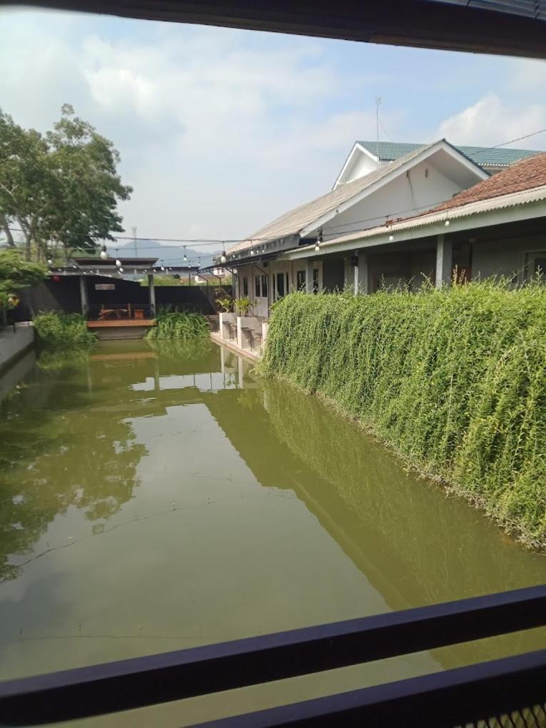 Backyard Guest House Banjar  外观 照片